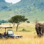 Top Attractions and Things to do in Kenya