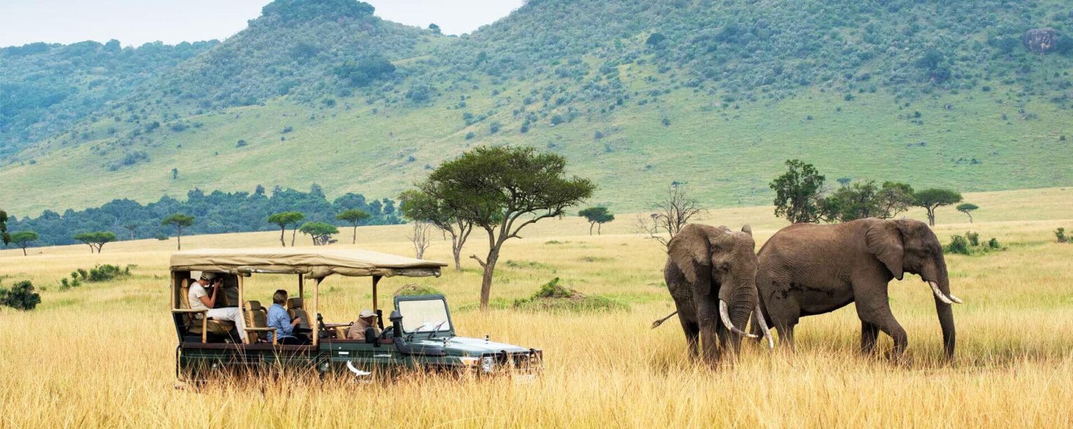 Top Attractions and Things to do in Kenya