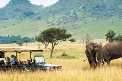 Top Attractions and Things to do in Kenya