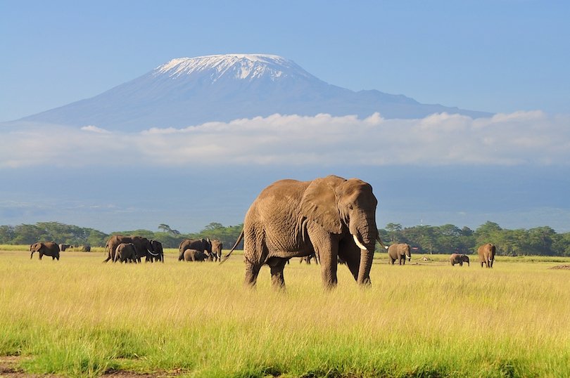 Amboseli National Park