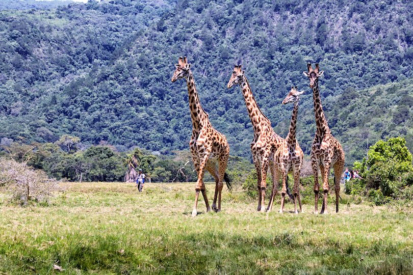 Arusha National Park