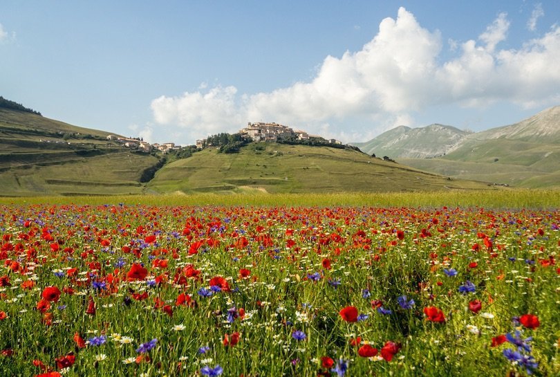 Castelluccio