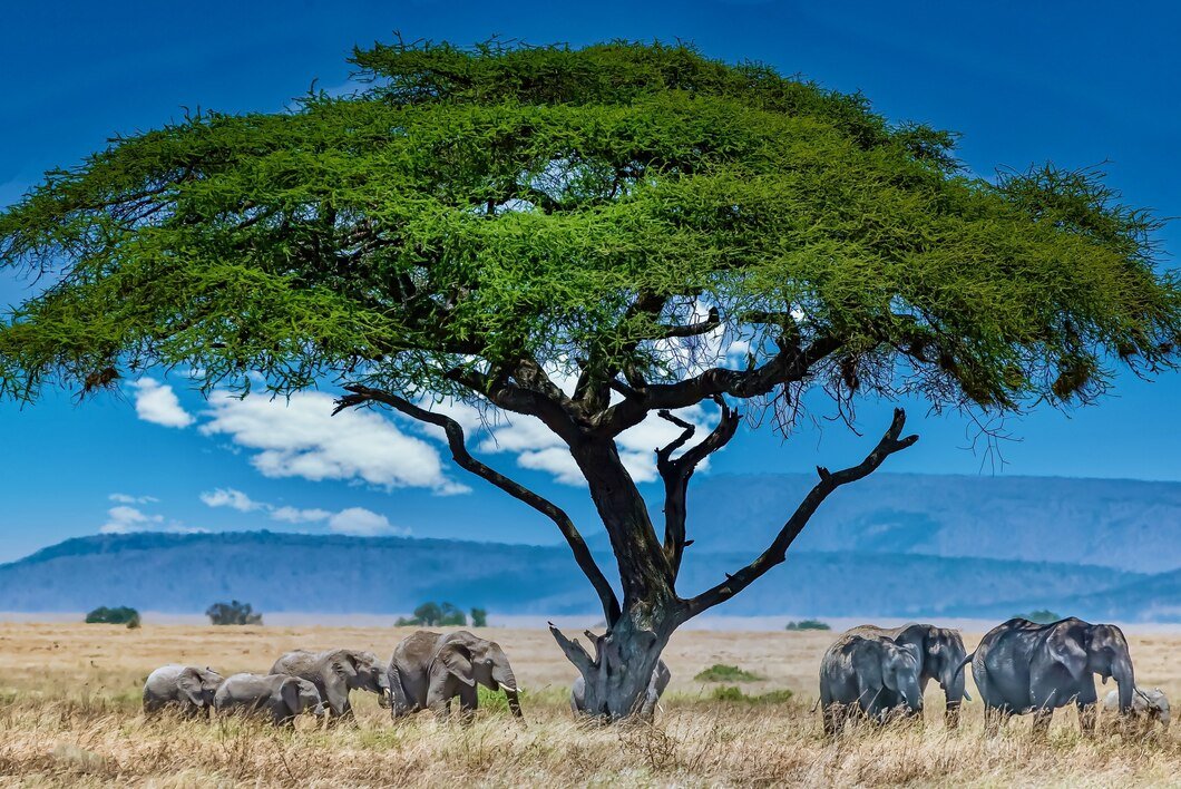 group-elephants-big-green-tree-wilderness_181624-16897