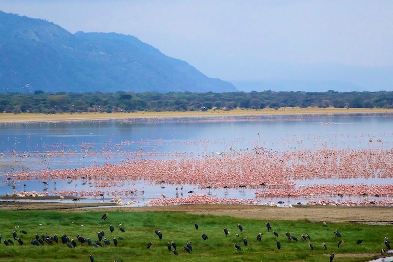 12 Most Beautiful National Parks in Tanzania