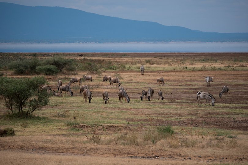 Lake Manyara National Park