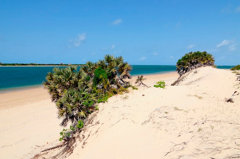 Lamu Beaches