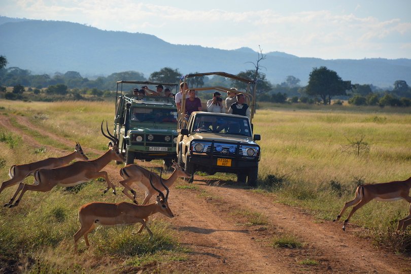 Mikumi National Park