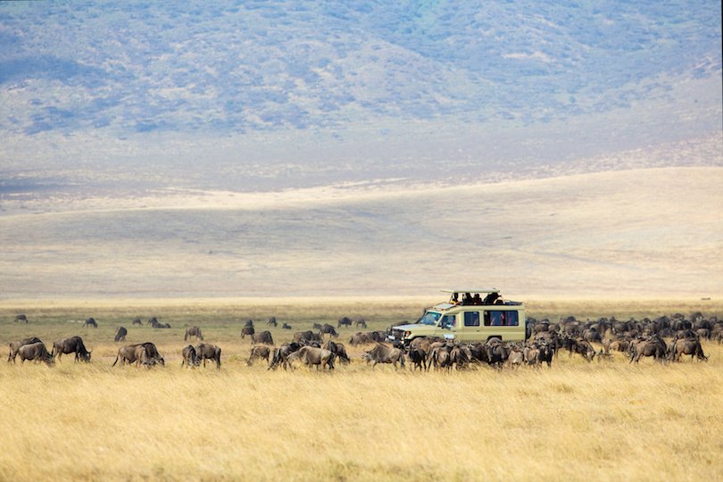 Ngorongoro