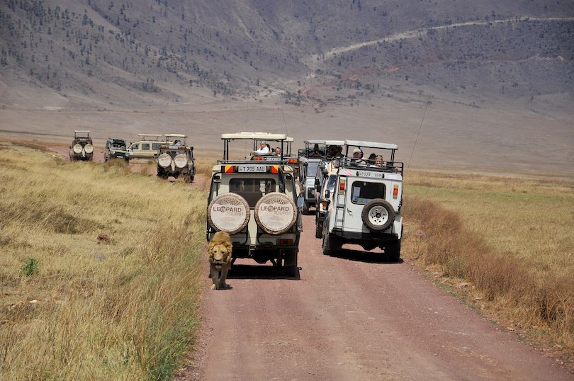 Ngorongoro Crater