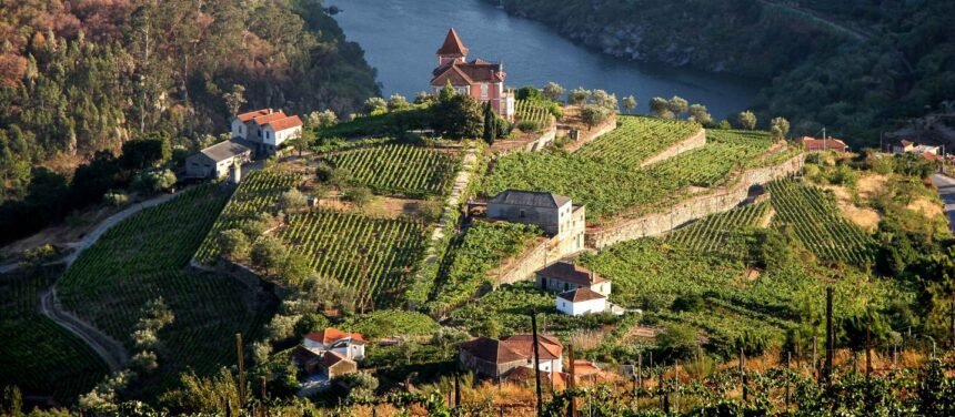 nothern-portugal-landscape