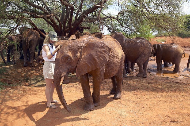 Sheldrick Wildlife Trust