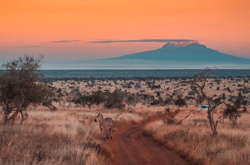 17 Best Attractions and Things to do in Kenya