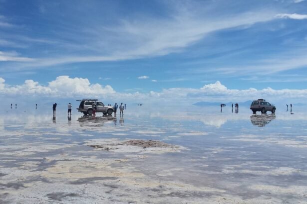 206577_5f927ce9b46bb