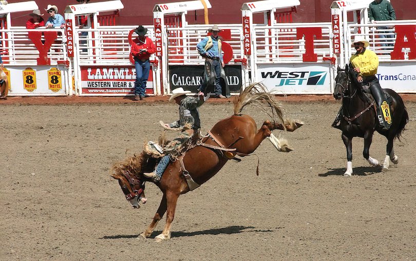 Calgary Stampede