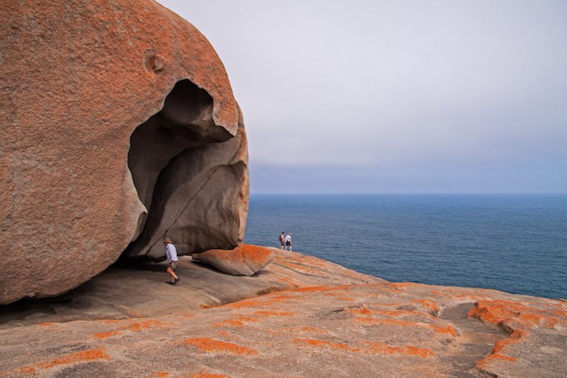 Seal Bay Conservation Park