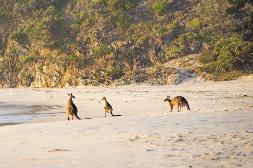 Kangaroo Island