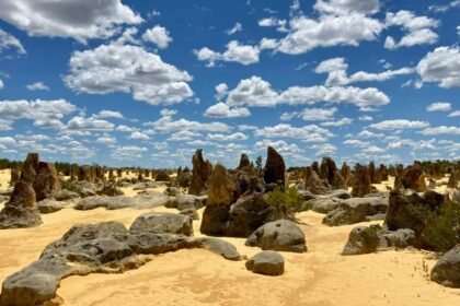 Pinnacles and Lancelin Sand Dunes Full Day Tour in Perth Bus Tour