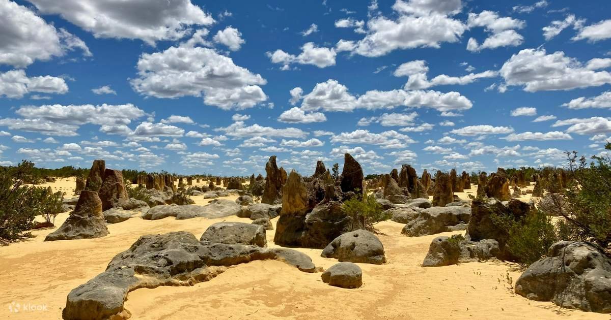 Pinnacles and Lancelin Sand Dunes Full Day Tour in Perth Bus Tour