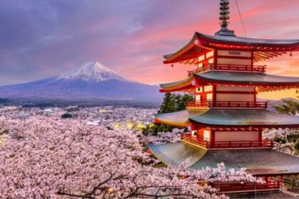 Best Cities to Visit in Japan