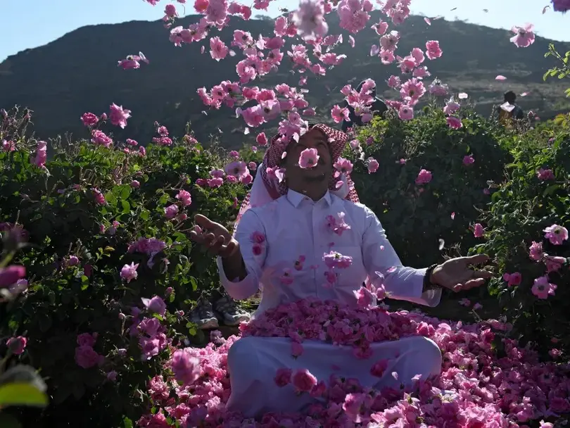 Taif’s Rose Fields