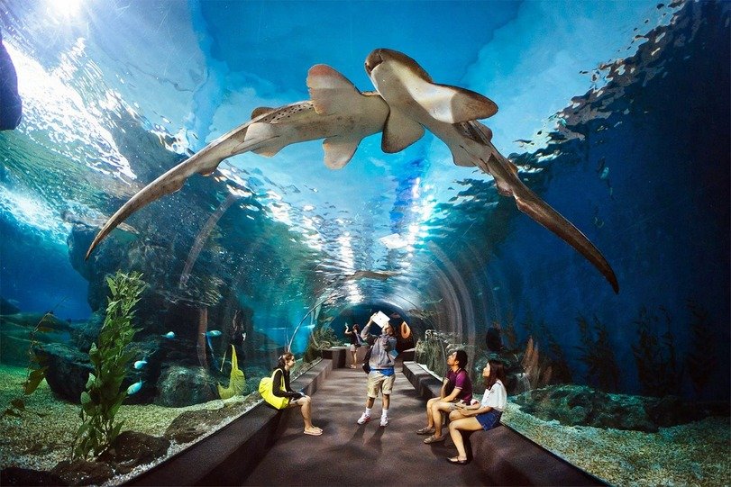 Sharjah Aquarium