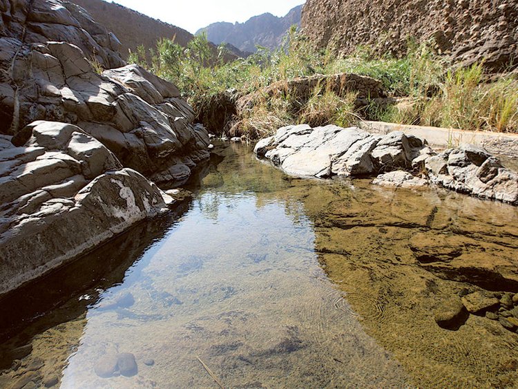 Wadi Wurayah National Park