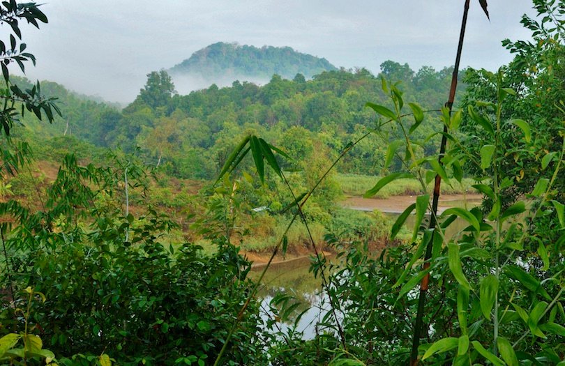 Cat Tien National Park