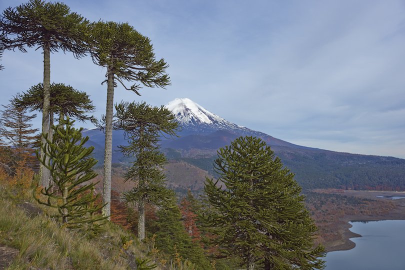 Conguillio National Park