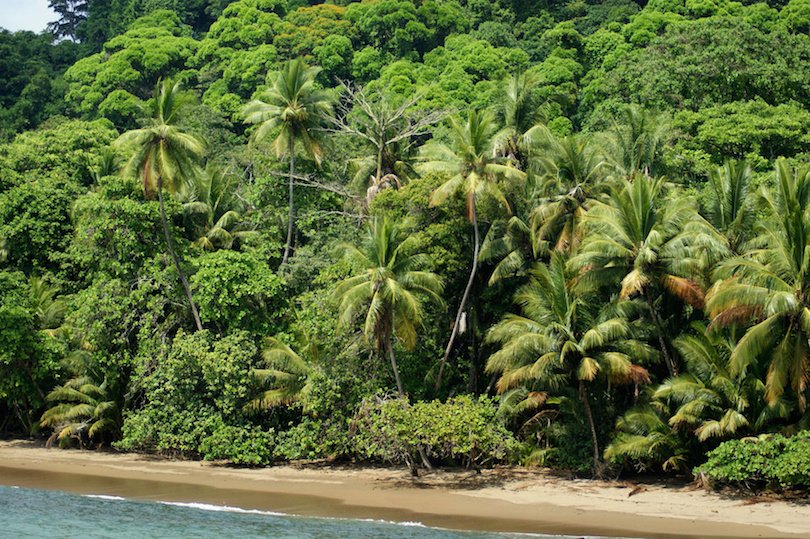 Corcovado National Park