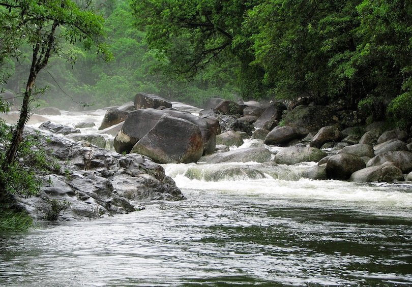 Daintree Rainforest