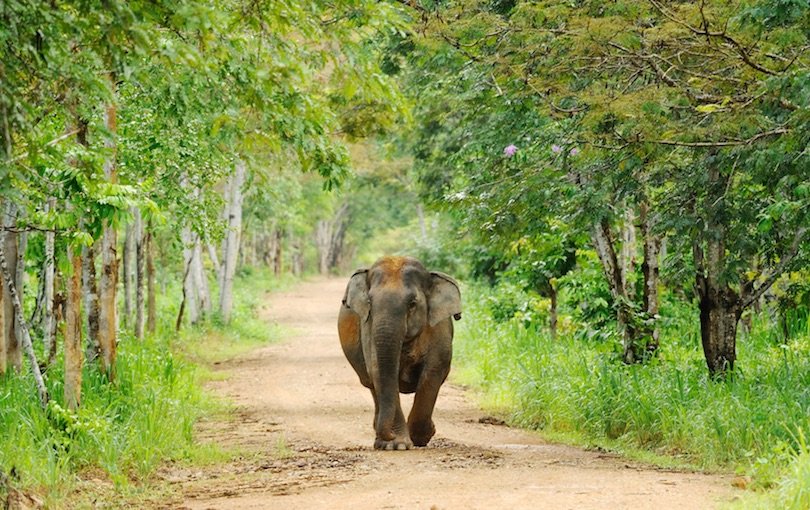 Kui Buri National Park