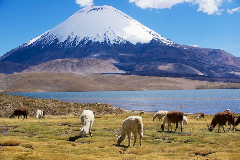 Most Beautiful National Parks in Chile