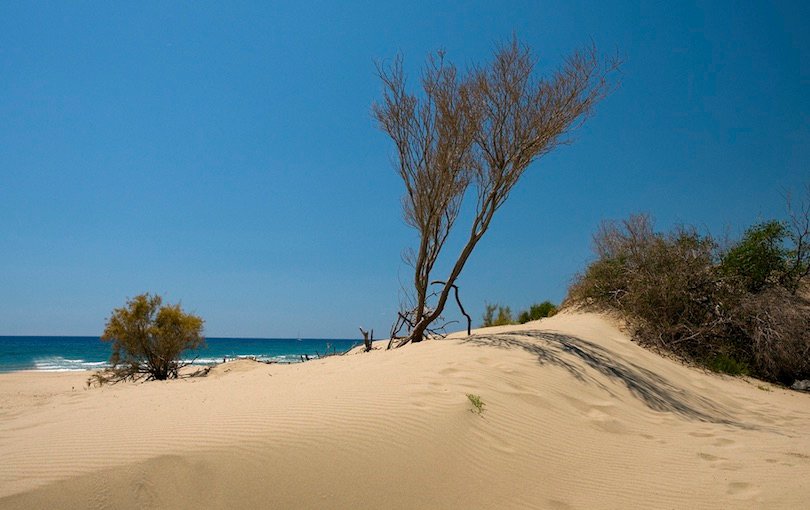 Patara Beach