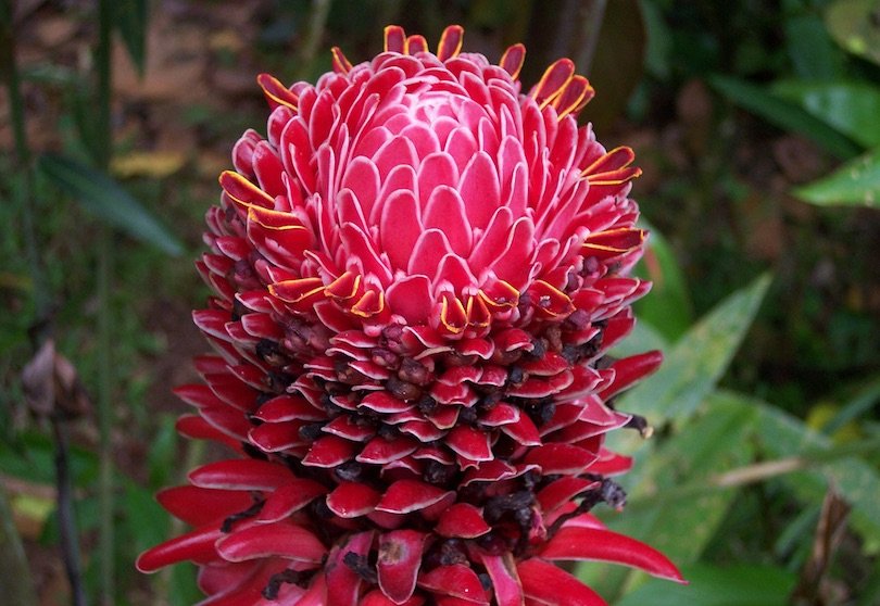 10 Best National Parks in Costa Rica
