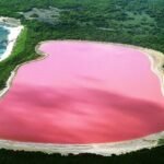 pink-lake-hiller-western-astraalia-06568