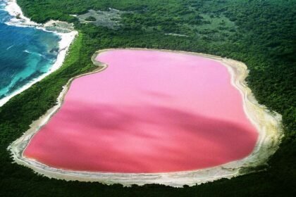 pink-lake-hiller-western-astraalia-06568