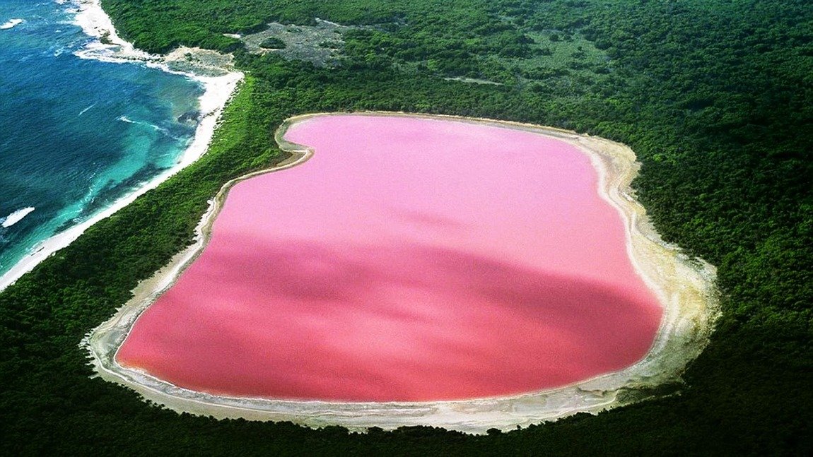 pink-lake-hiller-western-astraalia-06568