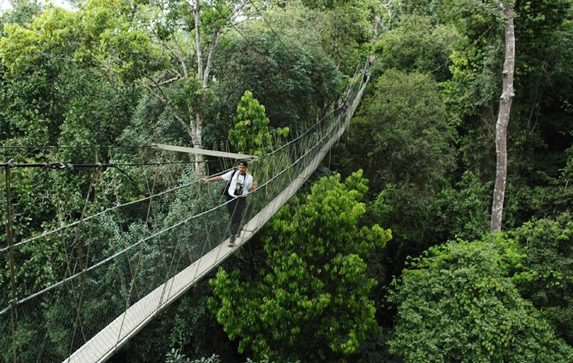 Taman Negara