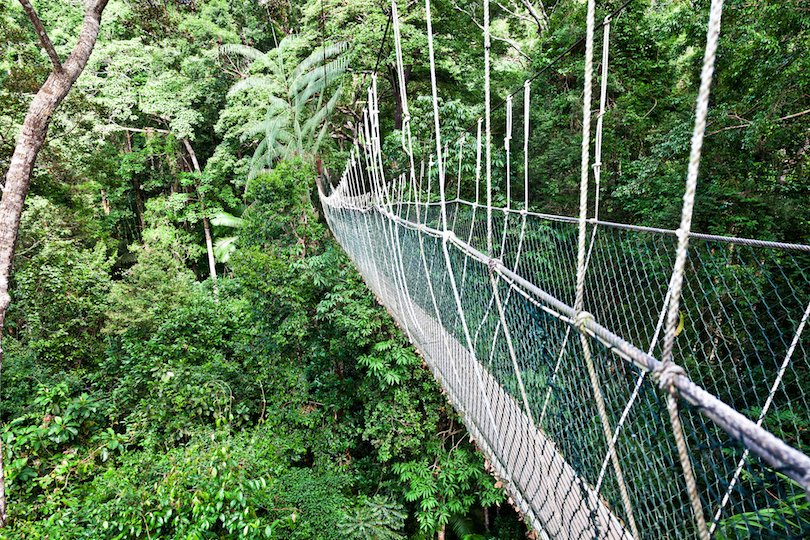 Taman Negara National Park