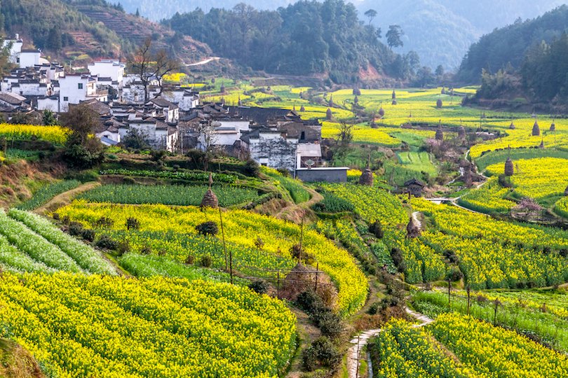 Wuyuan Villages