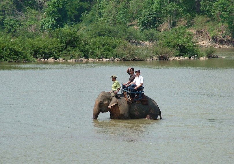 Yok Don National Park