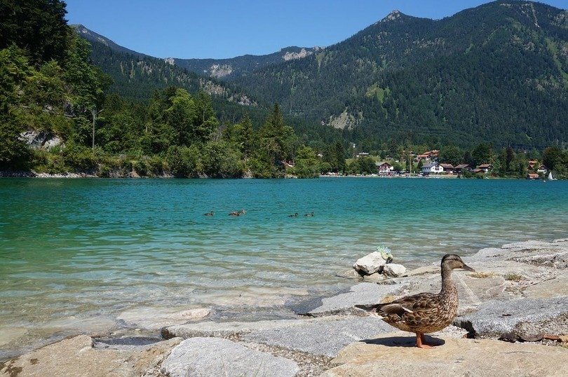 Walchensee