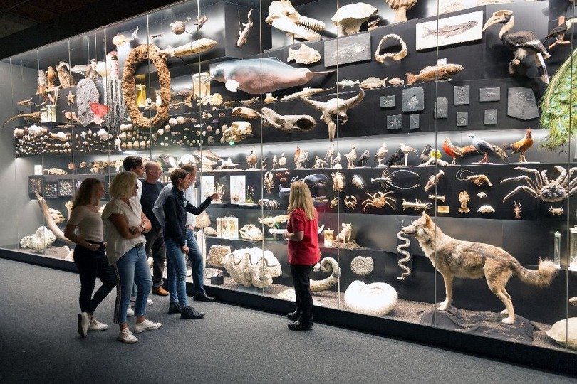 Senckenberg Natural History Museum