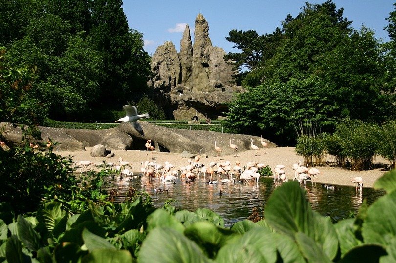 Tierpark Hagenbeck